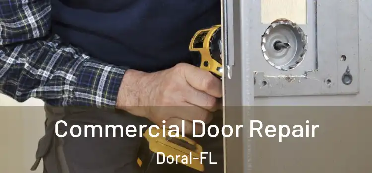 Commercial Door Repair Doral-FL