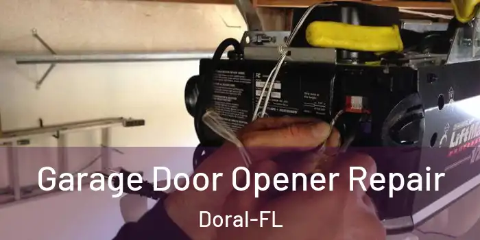  Garage Door Opener Repair Doral-FL
